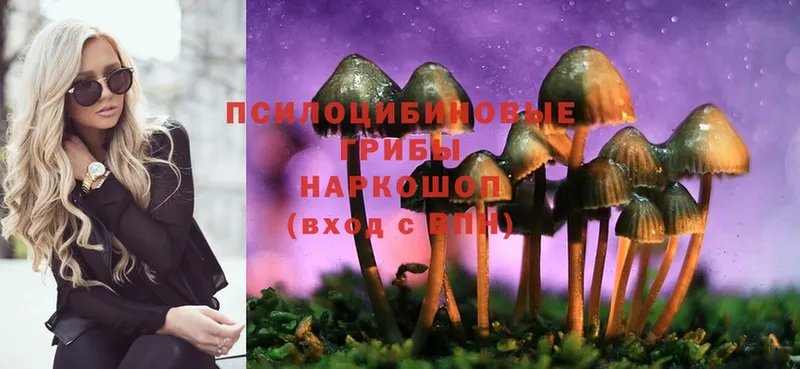 где продают   Бабушкин  MEGA tor  Галлюциногенные грибы Psilocybe 